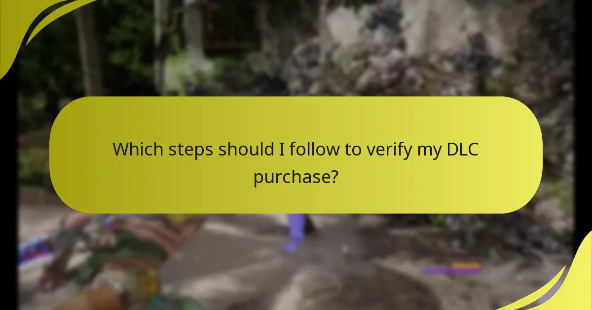 Which steps should I follow to verify my DLC purchase?